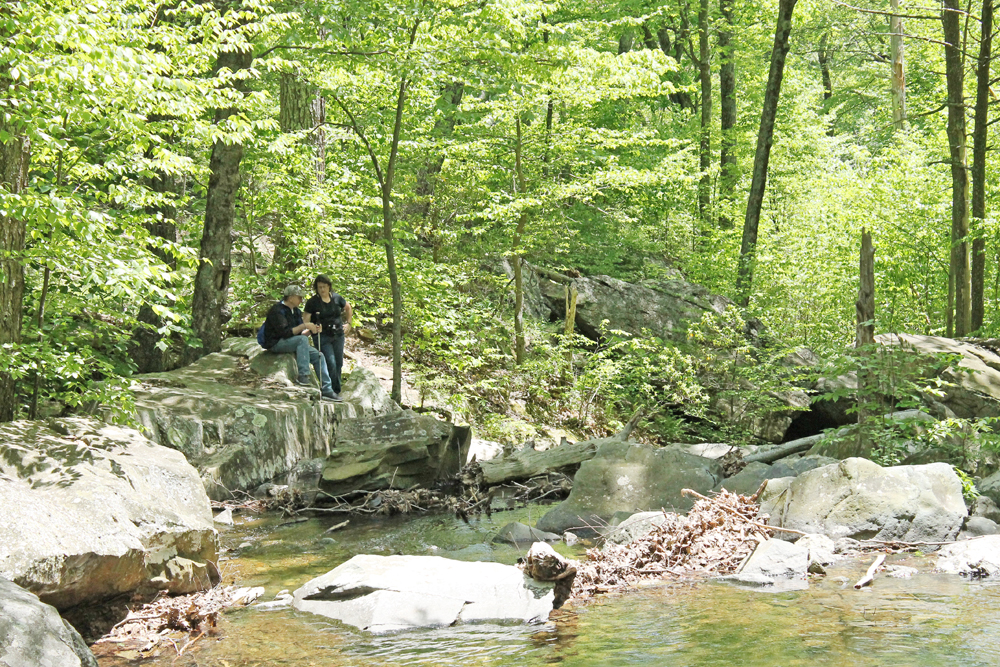 white_oak_canyon_falls