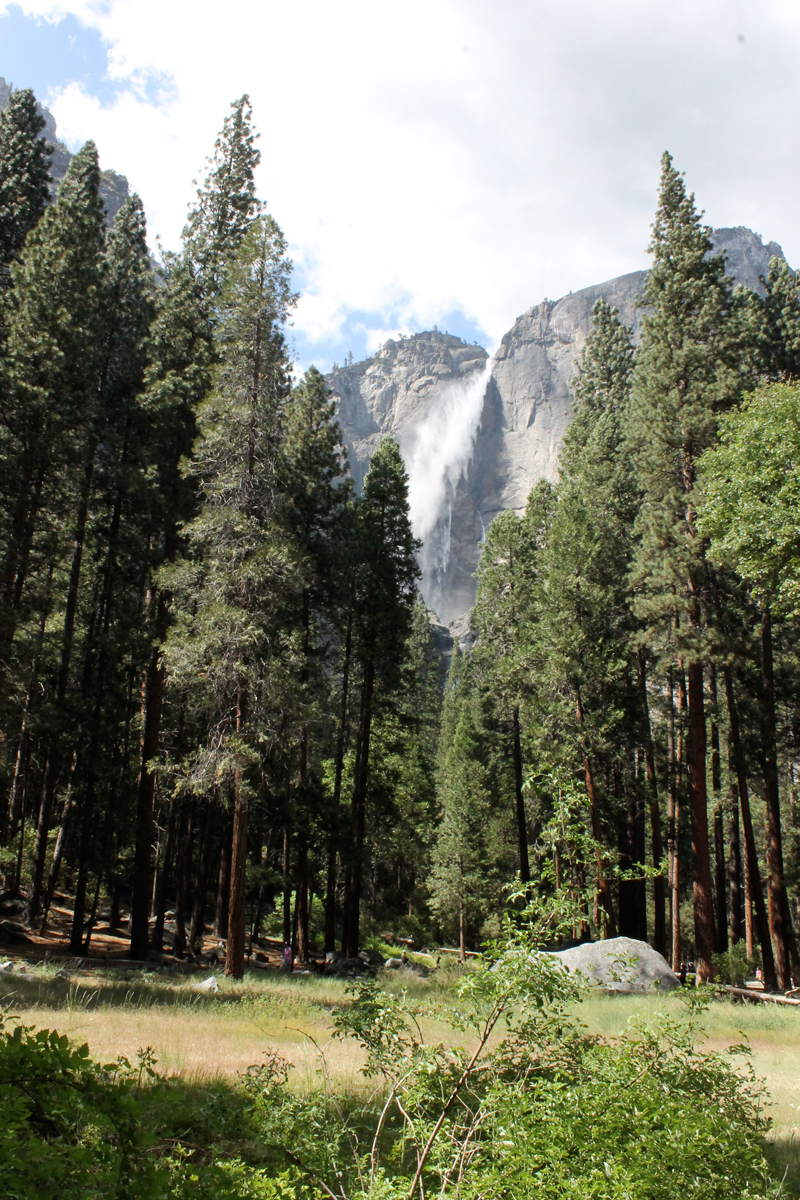 Yosemite National Park