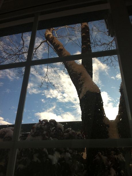 Snowy office window