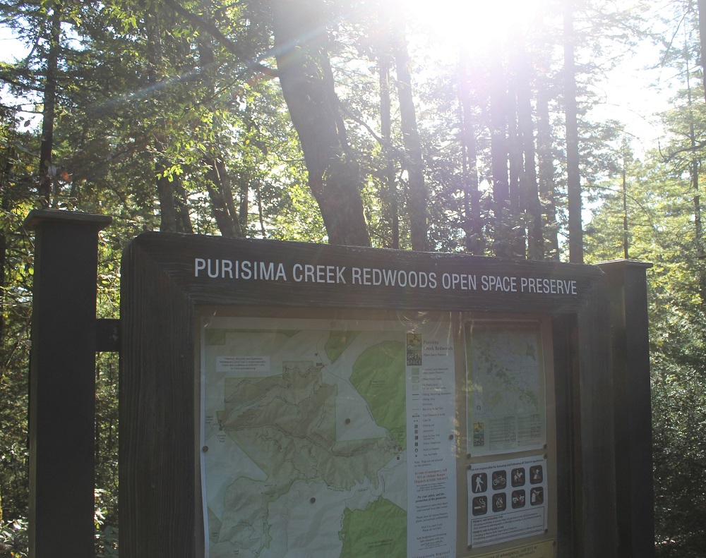 Purisima Creek Redwoods Sign with Sun Behind