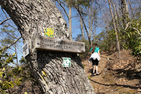 Fortune's Cove Preserve