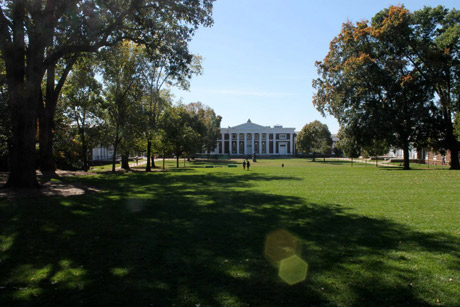 UVA Campus trees