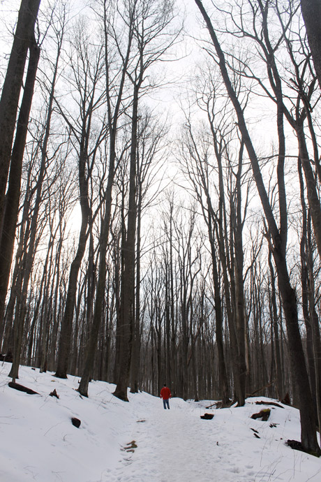 Coopers Rock State Park Hike